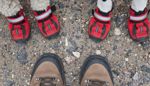 Wanderschuhe neben Hundepfoten mit roten Pfotenschuhen – bereit für das nächste Abenteuer in den Dolomiten.