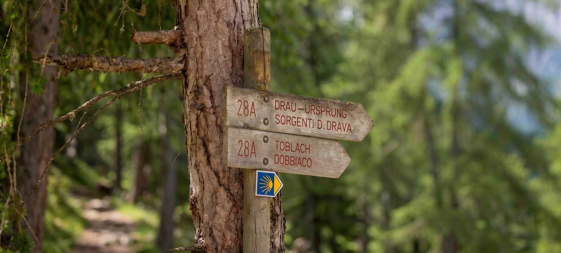 Drau Radweg bzw. Wanderweg 28A, der zum Drau Ursprung nahe Toblach und Innichen führt.